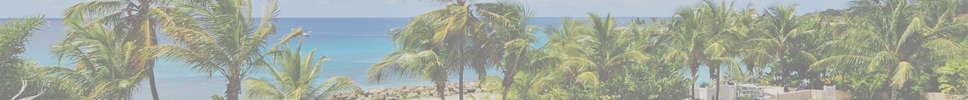 Image of palm trees and the sea on the Caribbean coast